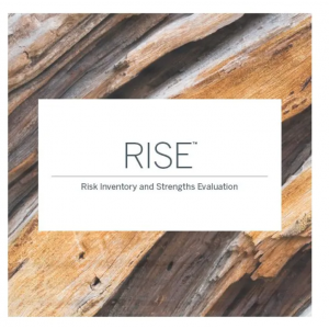 (RISE)评估)风险清单和优势评估
